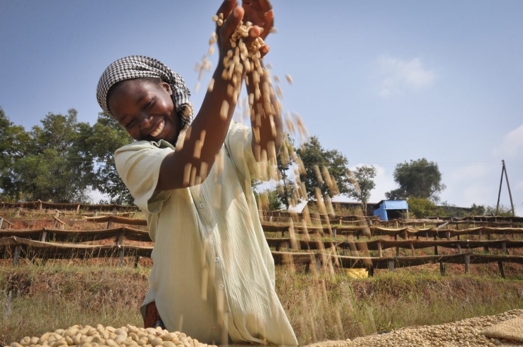 "This job helps me buy food for my family and also pay school fees for my children. Though it has its challenges, it's better to do something than doing nothing" Janet Mutuku, 26 år, medlem i ett kooperativ i Machakos, Kenya, som stöds av We Effect. 
